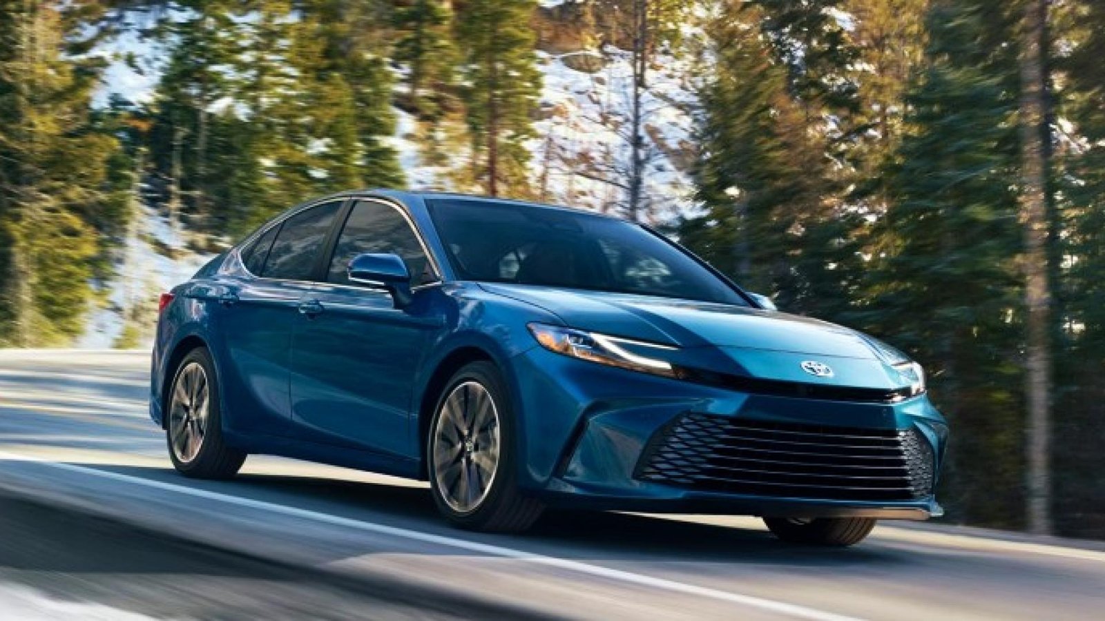 Toyota Camry XLE Hybrid 2024